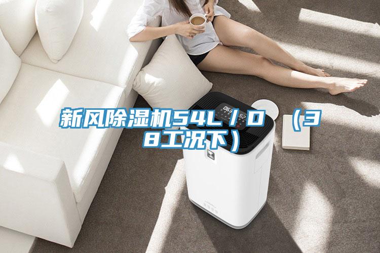 新風小黄片软件免费下载54L／D （38工況下）
