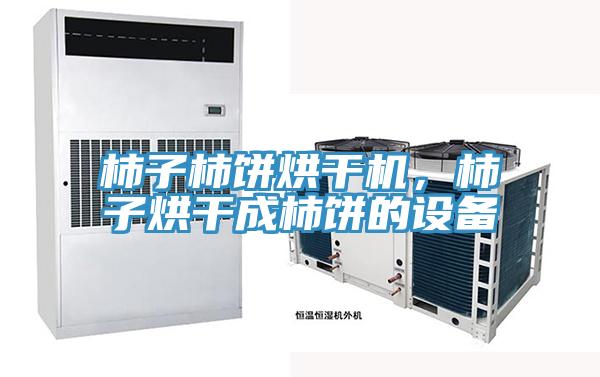 柿子柿餅烘幹機，柿子烘幹成柿餅的設備