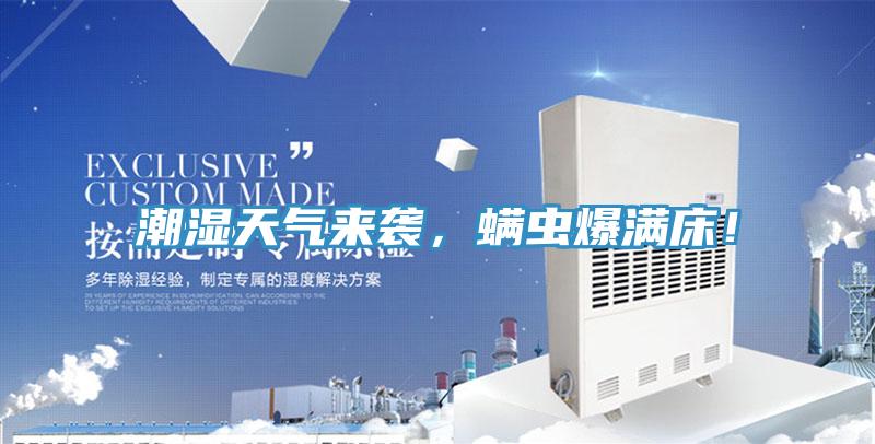 潮濕天氣來襲，蟎蟲爆滿床！