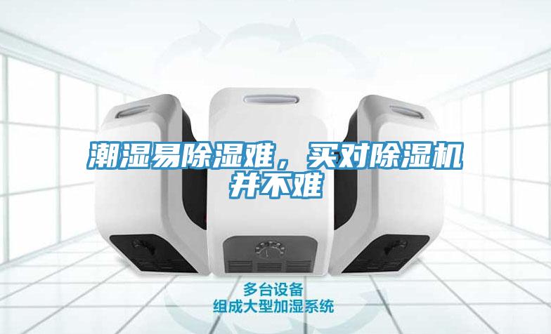 潮濕易除濕難，買對小黄片软件免费下载並不難