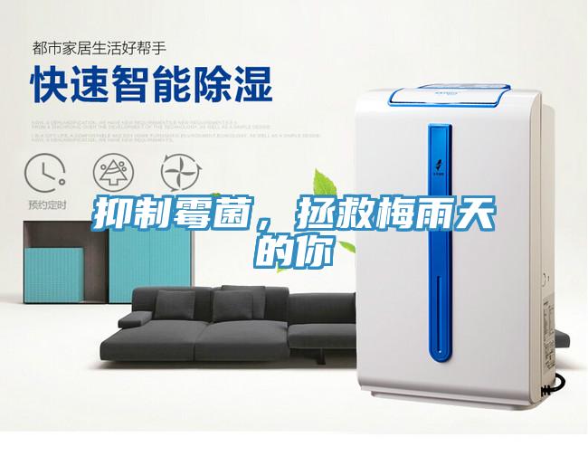 抑製黴菌，拯救梅雨天的你