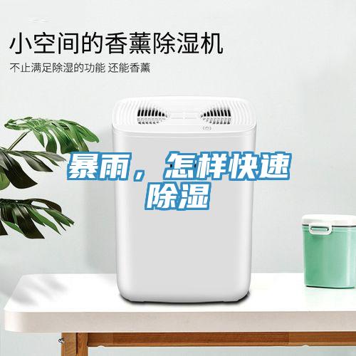 暴雨，怎樣快速除濕