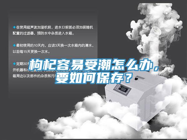 枸杞容易受潮怎麽辦，要如何保存？