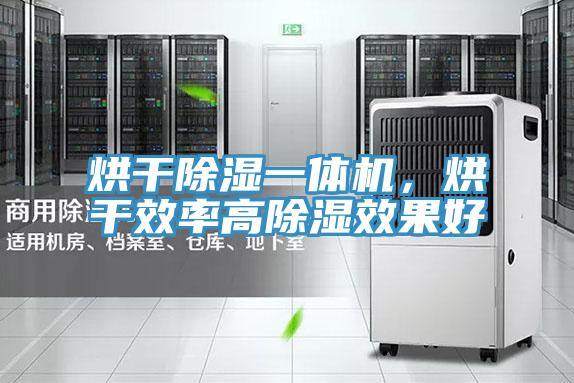 烘幹除濕一體機，烘幹效率高除濕效果好