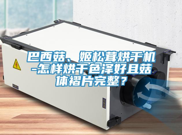 巴西菇、姬鬆茸烘幹機-怎樣烘幹色澤好且菇體褶片完整？
