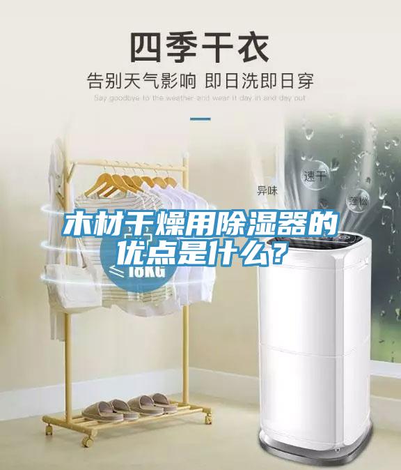 木材幹燥用除濕器的優點是什麽？