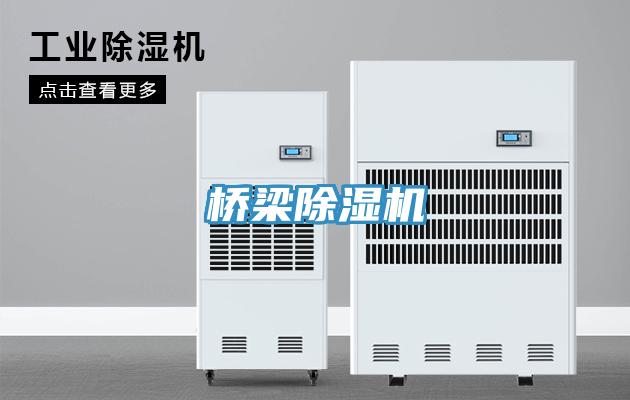 橋梁小黄片软件免费下载