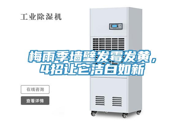 梅雨季牆壁發黴發黃，4招讓它潔白如新