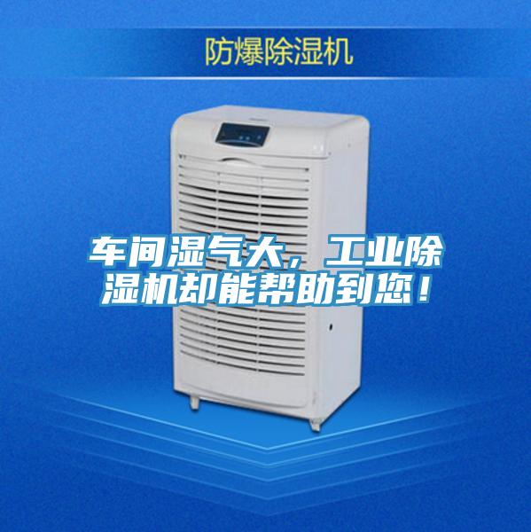 車間濕氣大，工業小黄片软件免费下载卻能幫助到您！