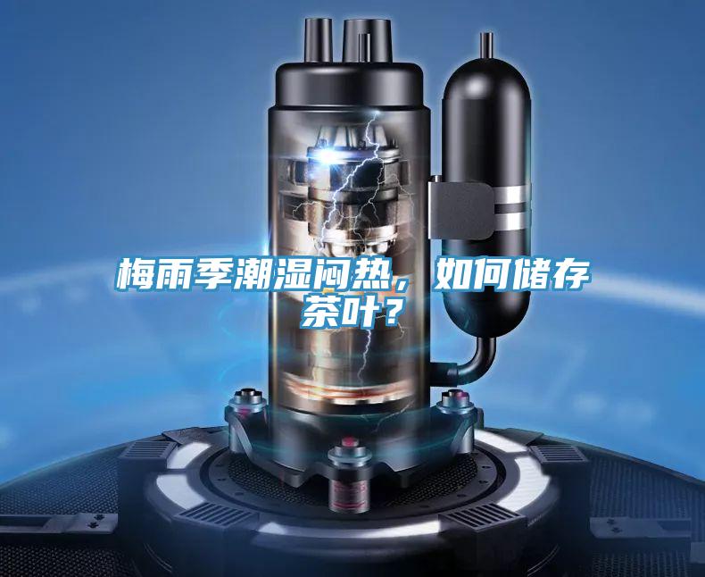 梅雨季潮濕悶熱，如何儲存茶葉？