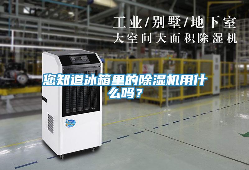 您知道冰箱裏的小黄片软件免费下载用什麽嗎？
