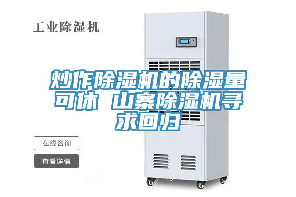炒作小黄片软件免费下载的除濕量可休 山寨小黄片软件免费下载尋求回歸
