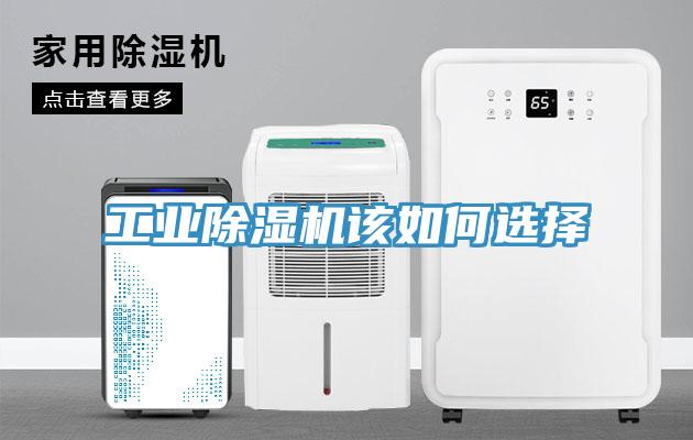 工業小黄片软件免费下载該如何選擇