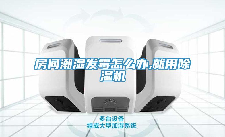 房間潮濕發黴怎麽辦,就用小黄片软件免费下载