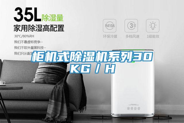 櫃機式小黄片软件免费下载係列30KG／H