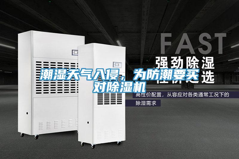 潮濕天氣入侵，為防潮要買對小黄片软件免费下载