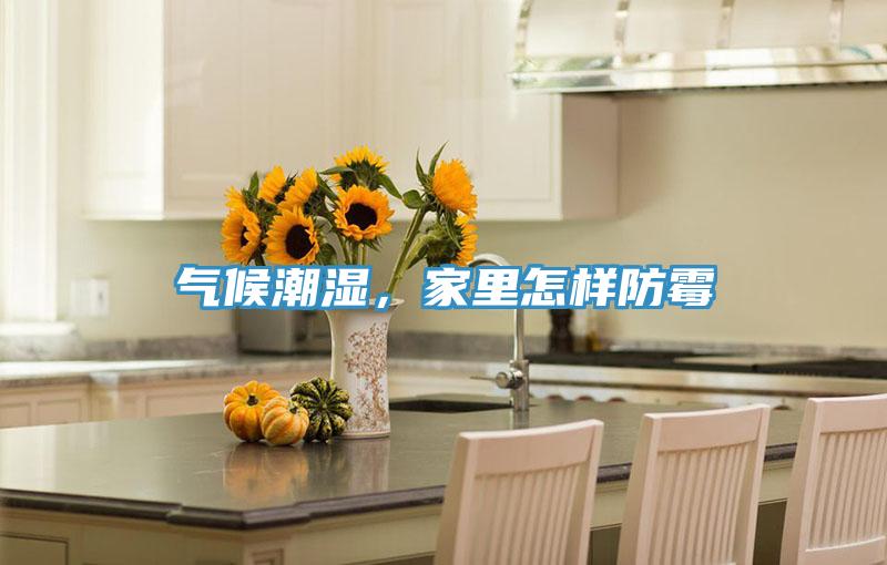 氣候潮濕，家裏怎樣防黴
