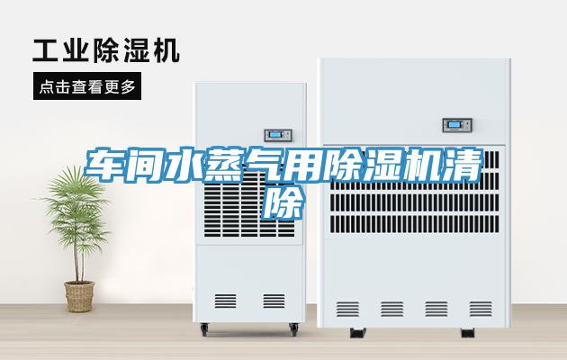 車間水蒸氣用小黄片软件免费下载清除