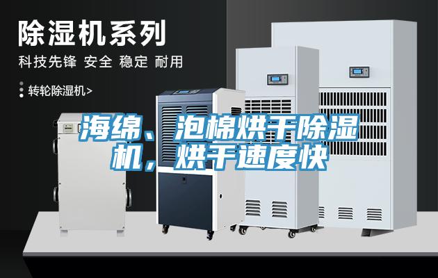海綿、泡棉烘幹小黄片软件免费下载，烘幹速度快