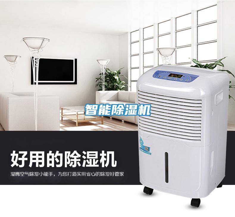 智能小黄片软件免费下载