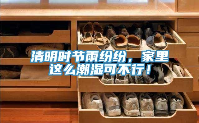清明時節雨紛紛，家裏這麽潮濕可不行！