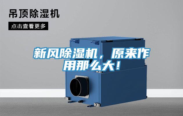 新風小黄片软件免费下载，原來作用那麽大！