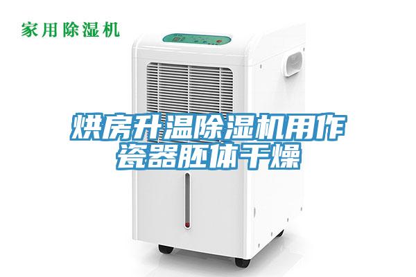 烘房升溫小黄片软件免费下载用作瓷器胚體幹燥