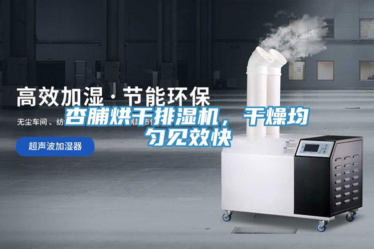 杏脯烘幹排濕機，幹燥均勻見效快