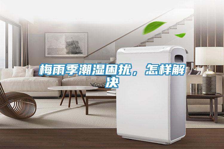 梅雨季潮濕困擾，怎樣解決