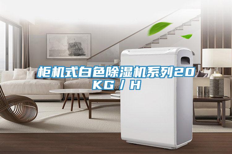 櫃機式白色小黄片软件免费下载係列20KG／H