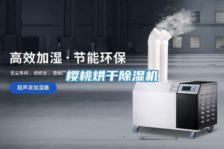 櫻桃烘幹小黄片软件免费下载
