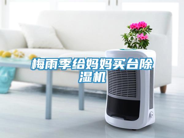 梅雨季給媽媽買台小黄片软件免费下载