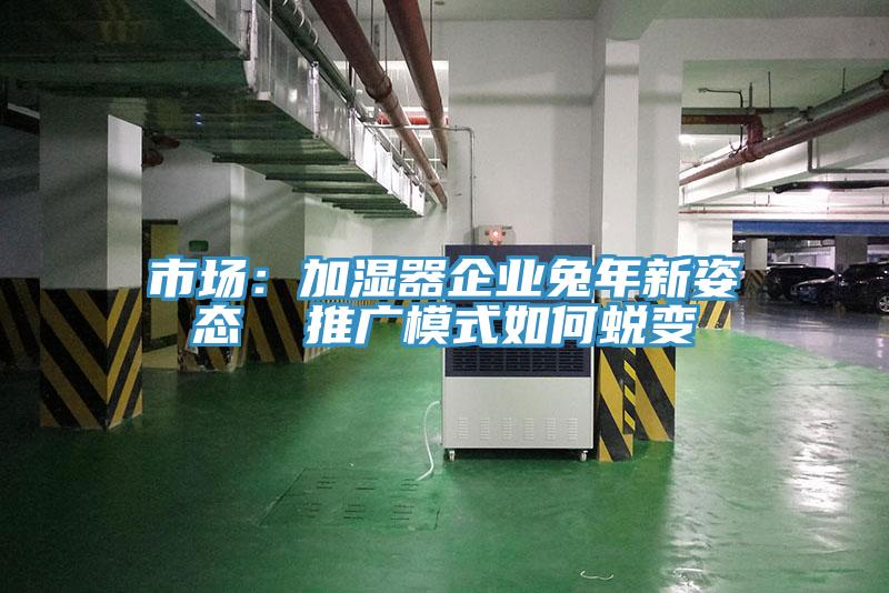 市場：加濕器企業兔年新姿態  推廣模式如何蛻變