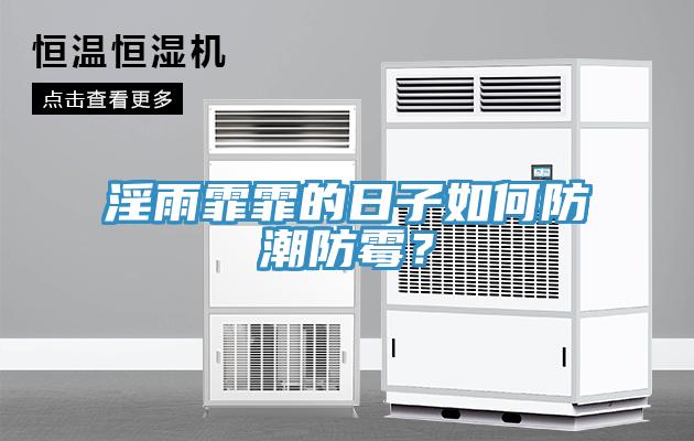 淫雨霏霏的日子如何防潮防黴？