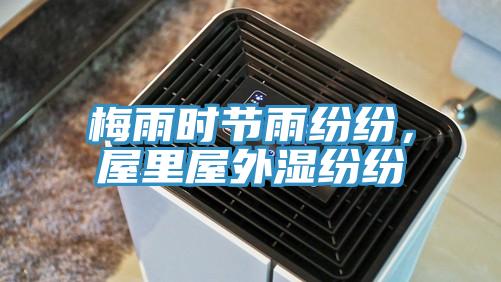 梅雨時節雨紛紛，屋裏屋外濕紛紛