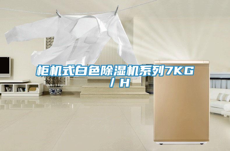 櫃機式白色小黄片软件免费下载係列7KG／H