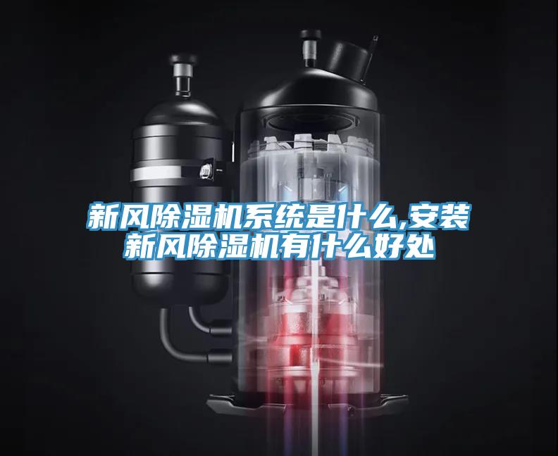 新風小黄片软件免费下载係統是什麽,安裝新風小黄片软件免费下载有什麽好處