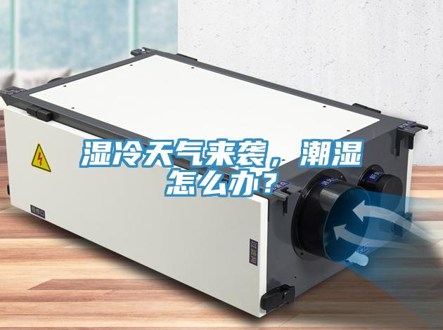 濕冷天氣來襲，潮濕怎麽辦？