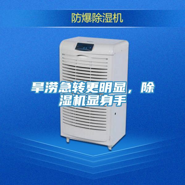 旱澇急轉更明顯，小黄片软件免费下载顯身手
