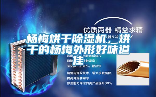 楊梅烘幹小黄片软件免费下载，烘幹的楊梅外形好味道佳