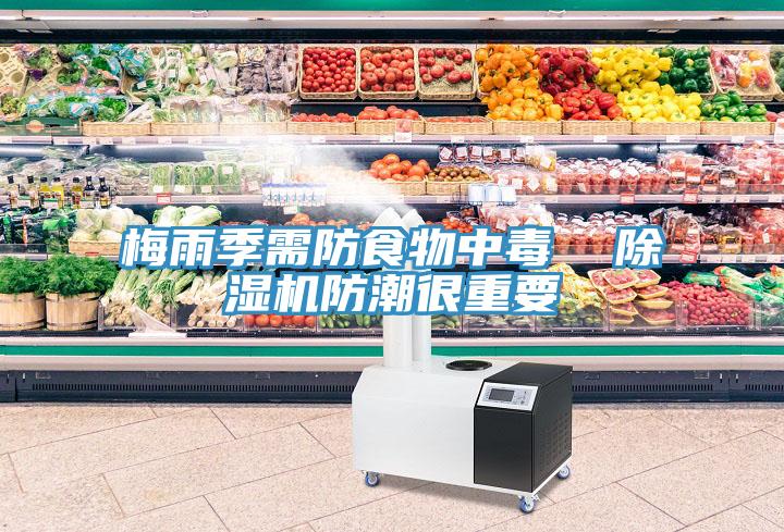梅雨季需防食物中毒  小黄片软件免费下载防潮很重要