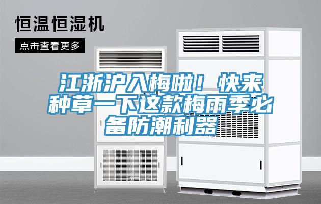 江浙滬入梅啦！快來種草一下這款梅雨季必備防潮利器