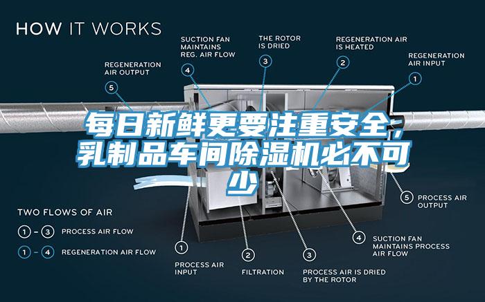 每日新鮮更要注重安全，乳製品車間小黄片软件免费下载必不可少