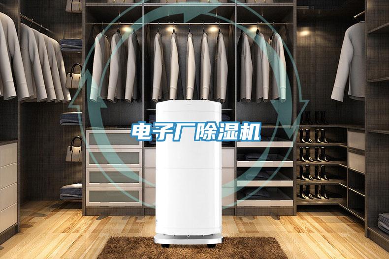 電子廠小黄片软件免费下载
