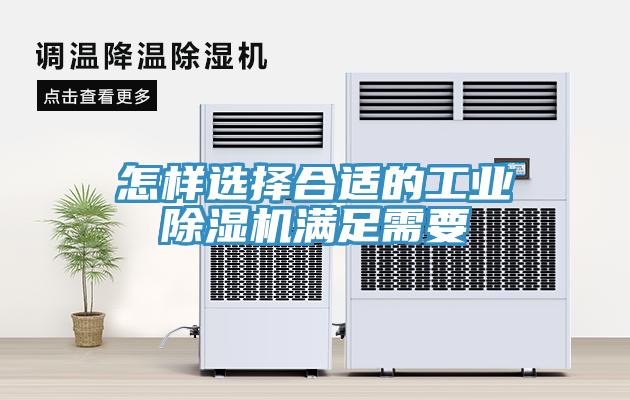 怎樣選擇合適的工業小黄片软件免费下载滿足需要