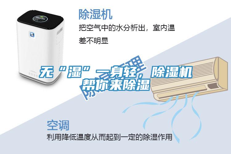 無“濕”一身輕，小黄片软件免费下载幫你來除濕