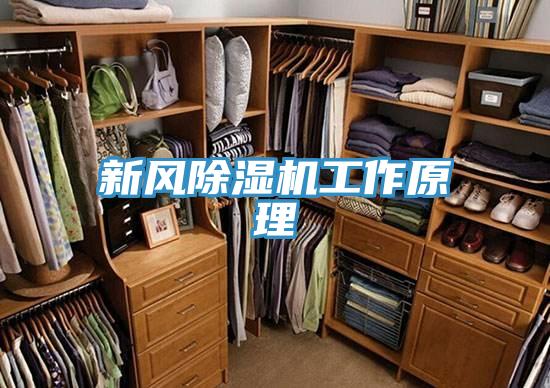 新風小黄片软件免费下载工作原理