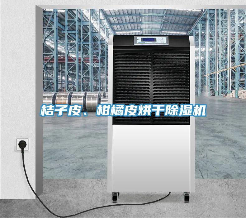 桔子皮、柑橘皮烘幹小黄片软件免费下载