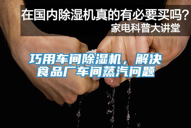 巧用車間小黄片软件免费下载，解決食品廠車間蒸汽問題