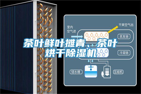茶葉鮮葉攤青、茶葉烘幹小黄片软件免费下载